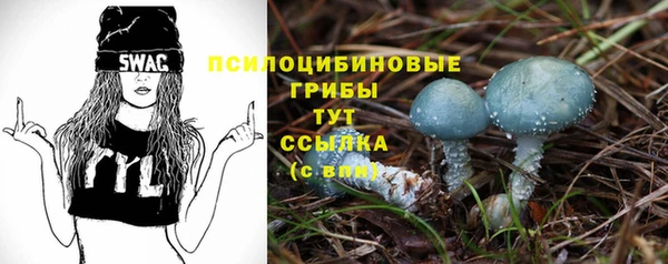 ECSTASY Бородино