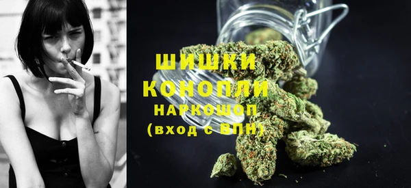 ПСИЛОЦИБИНОВЫЕ ГРИБЫ Верея